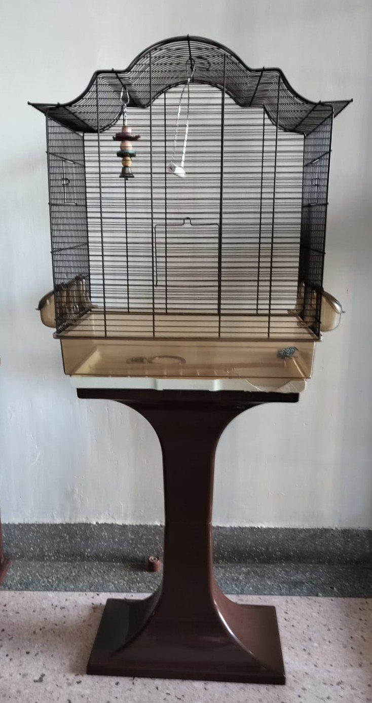 Bird Cage